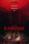 В ловушке В ловушке