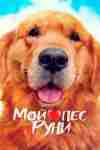Мой пёс Руни Мой пёс Руни