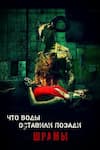 Что воды оставили позади: Шрамы